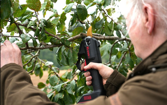 Prune Like a Pro with the Kress 20V Cordless Pruning Shears! 🌿